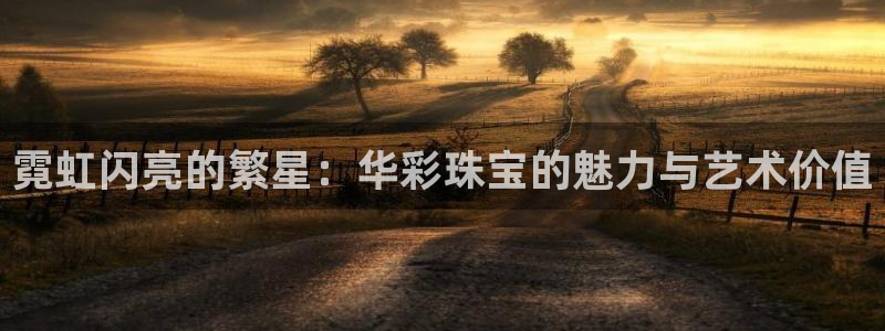 天宏娱乐开业晚宴：霓虹闪亮的繁星：华彩珠宝的魅力与艺术价值