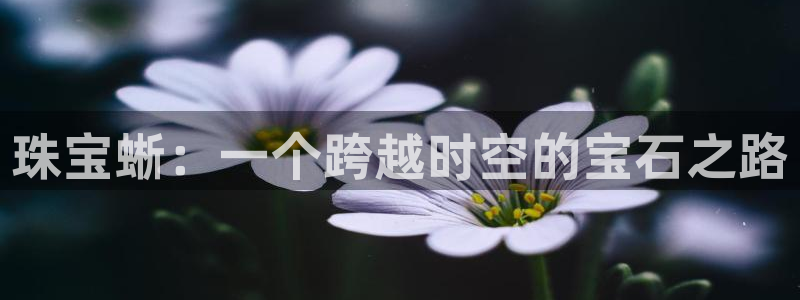 天宏娱乐公会：珠宝蜥：一个跨越时空的宝石之路