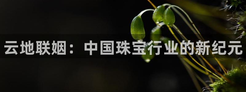 天宏娱乐k OO判官：云地联姻：中国珠宝行业的新纪元