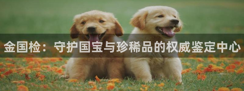 天宏娱乐老秦