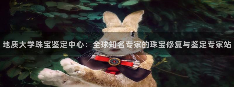 天宏娱乐刘叔
