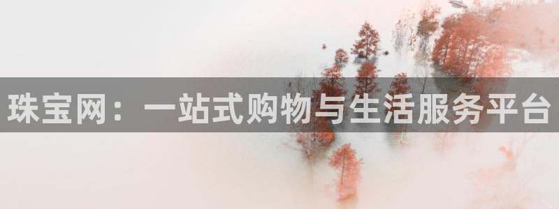 天宏娱乐石叔简介图片