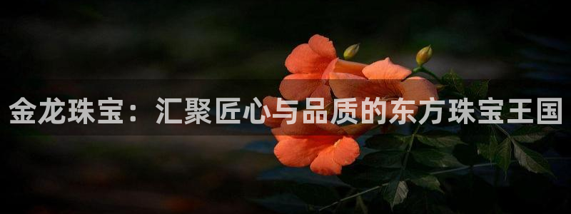 天宏娱乐河源店