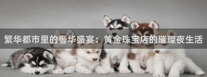 天宏娱乐传媒岳阳：繁华都市里的奢华盛宴：黄金珠宝店的璀璨夜生