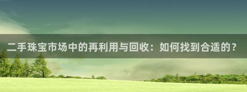 天宏娱乐登录平台：二手珠宝市场中的再利用与回收：如何找到合适