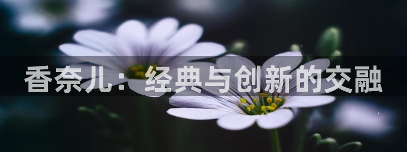 天宏娱乐是干嘛的公司：香奈儿：经典与创新的交融