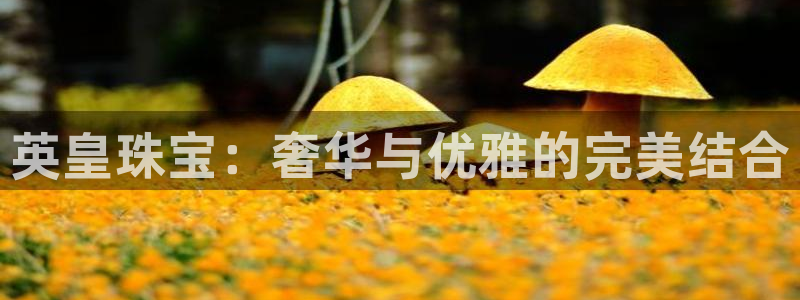 天宏娱乐董事长简历：英皇珠宝：奢华与优雅的完美结合