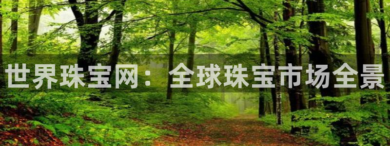 天宏娱乐是干嘛的公司：世界珠宝网：全球珠宝市场全景