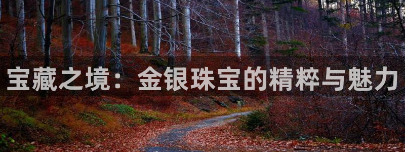 天宏娱乐小号：宝藏之境：金银珠宝的精粹与魅力