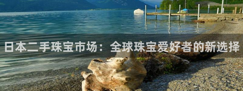 天宏娱乐运营29229：日本二手珠宝市场：全球珠宝爱好者的新