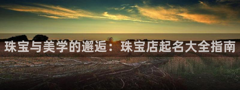 天宏娱乐q33300：珠宝与美学的邂逅：珠宝店起名大全指南