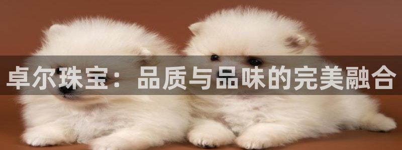天宏娱乐传媒旗下艺人：卓尔珠宝：品质与品味的完美融合