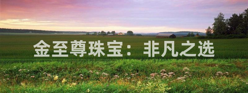 天宏娱乐大叔团队介绍视频：金至尊珠宝：非凡之选