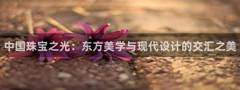 天宏娱乐大叔团队介绍