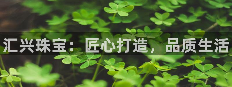 天宏娱乐宝：汇兴珠宝：匠心打造，品质生活