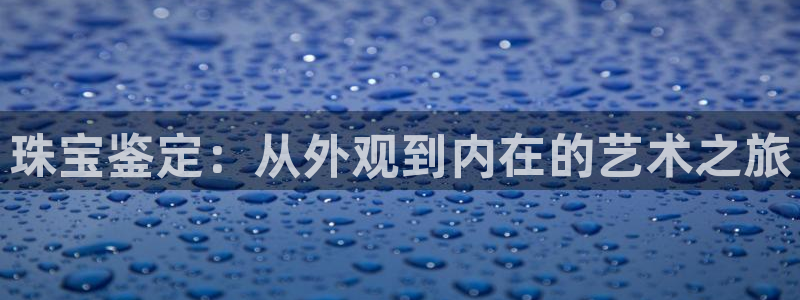 天宏娱乐丨金手指17