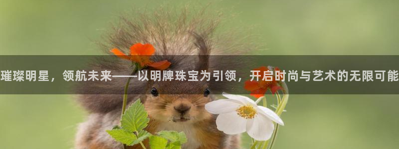 天宏娱乐 直播间怎么进