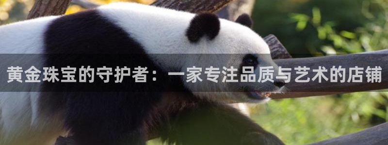 天宏娱乐app的下载