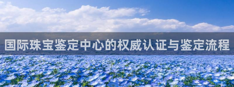 天宏娱乐直播间：国际珠宝鉴定中心的权威认证与鉴定流程