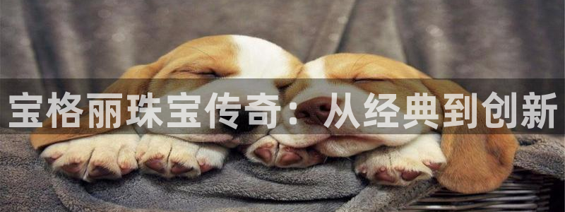 裕宏娱乐林天俊简介