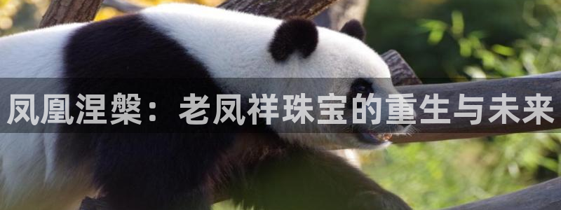 天宏娱乐平台稳么