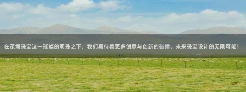天宏娱乐董事长:在深圳珠宝这一璀璨的明珠之下,我们期待着更多