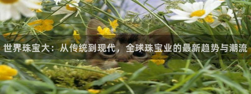 秦皇岛天宏娱乐