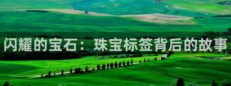 天宏娱乐直播间在哪