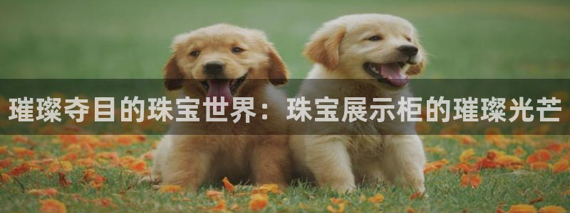 天宏娱乐平台登录:璀璨夺目的珠宝世界:珠宝展示柜的璀璨光芒