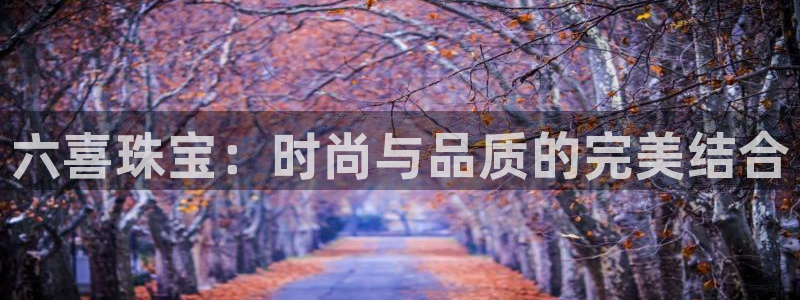 天宏娱乐指挥官