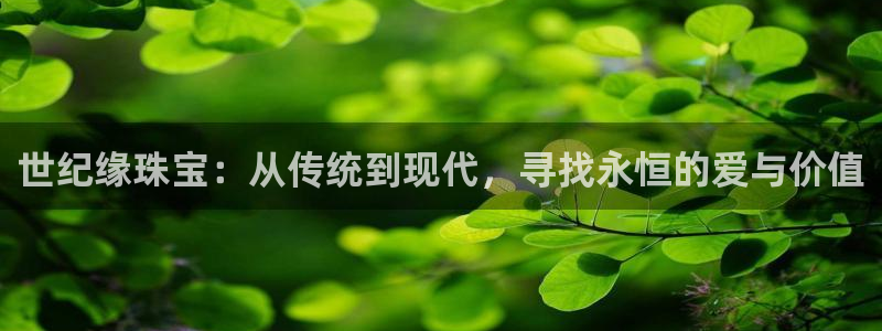 天亿娱乐宏发团队招聘:世纪缘珠宝:从传统到现代,寻找永恒的爱