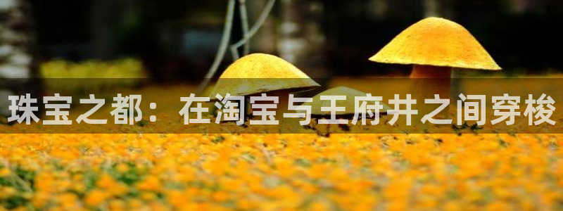 天跃娱乐天宏娱乐:珠宝之都:在淘宝与王府井之间穿梭