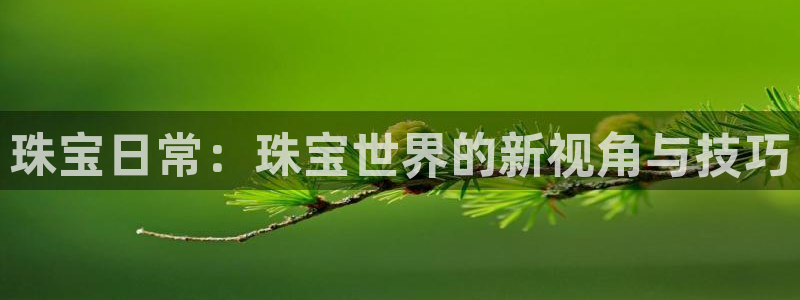 广州宏创天美娱乐文化