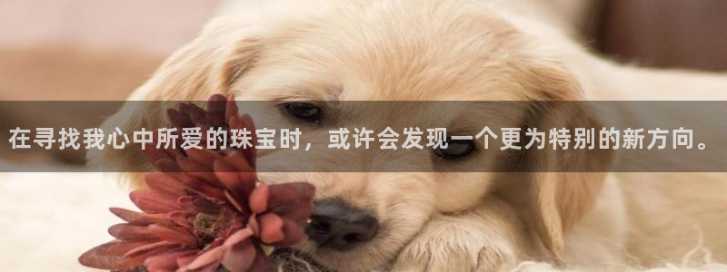 天宏娱乐探索无限空间