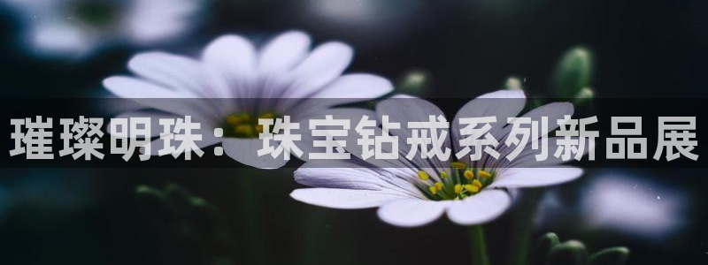 天宏娱乐32937股东