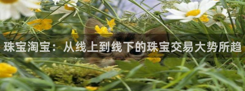 天宏娱乐老秦:珠宝淘宝:从线上到线下的珠宝交易大势所趋