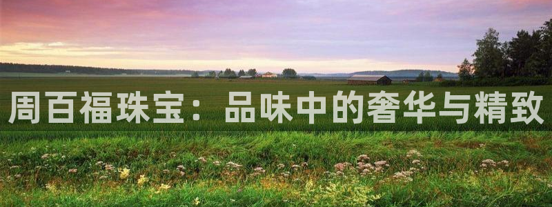 天宏娱乐app下载:周百福珠宝:品味中的奢华与精致