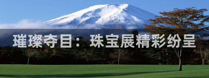 天宏娱乐2主管:璀璨夺目:珠宝展精彩纷呈