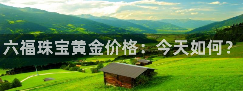 天宏娱乐直播间官网