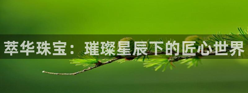 天宏娱乐最新更新