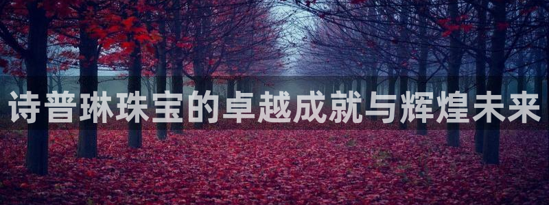 天宏娱乐岁月悠然：诗普琳珠宝的卓越成就与辉煌未来