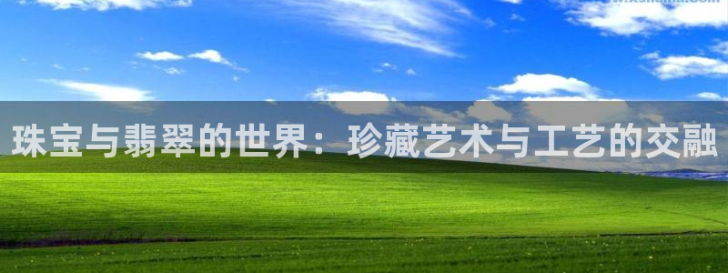 天宏娱乐app的下载