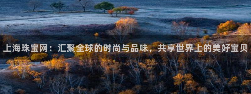 常平天宏娱乐会所电话：上海珠宝网：汇聚全球的时尚与品味，共享