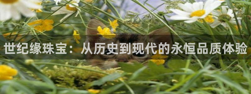 天宏娱乐会所电话号码