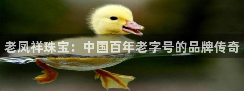 扬州天宏娱乐公司