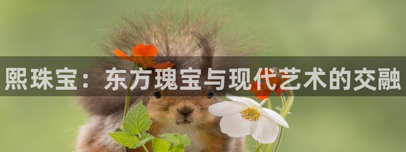 金叔直播天宏娱乐直播