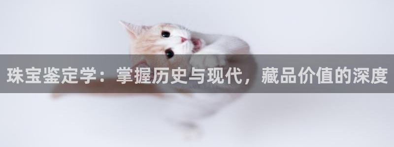 天宏娱乐团购价格多少