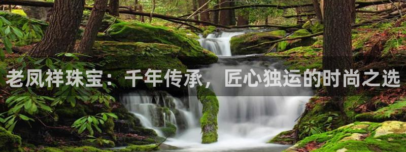 天宏娱乐旗下的网红