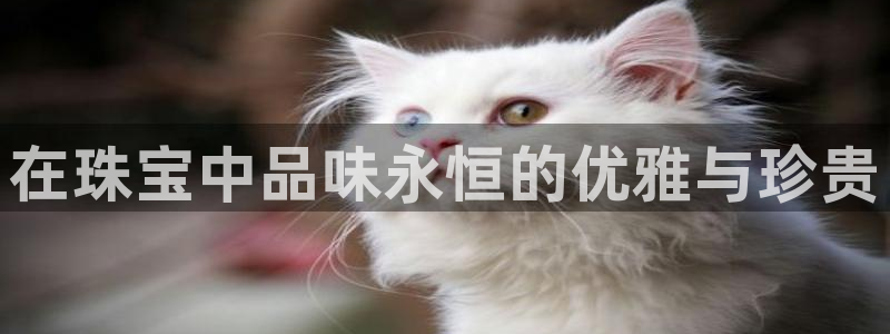 天宏 娱乐属于什么平台