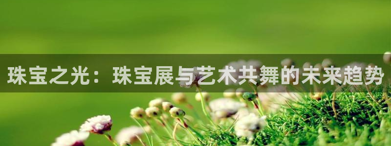 天宏娱乐石叔简介图片